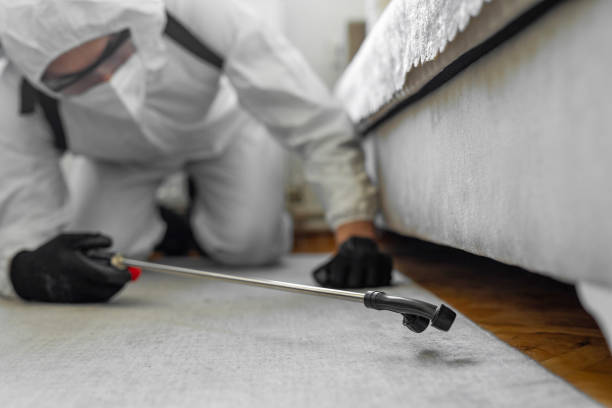 Professional Wasp Control technician working in Oak Grove Heights, AR