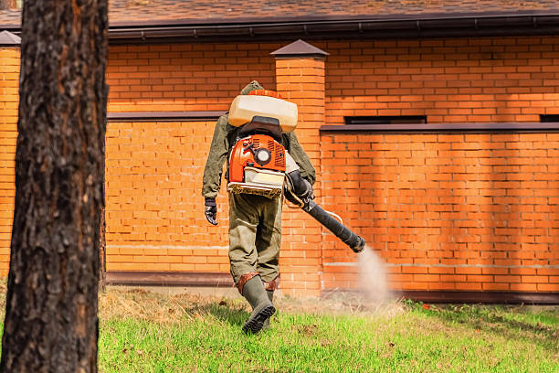 Trusted Termite Control service in Oak Grove Heights, AR - Nex Pest Control